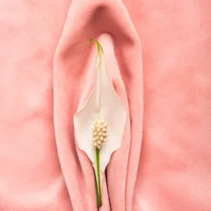 Armonización Vulvar Rejuvenecimiento Vaginal En San Luis Potosí