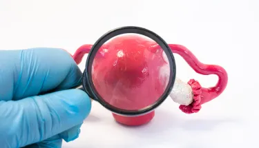 Check Up ginecológico en ciudad obregon