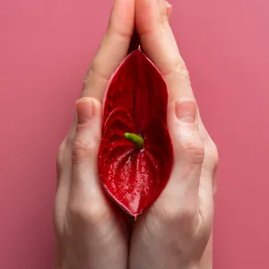 Lifting y Relleno de Labios Mayores Rejuvenecimiento Vaginal En San Luis Potosí