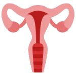 Obstetra en San Luis Potosí