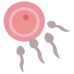 Obstetra en San Luis Potosí