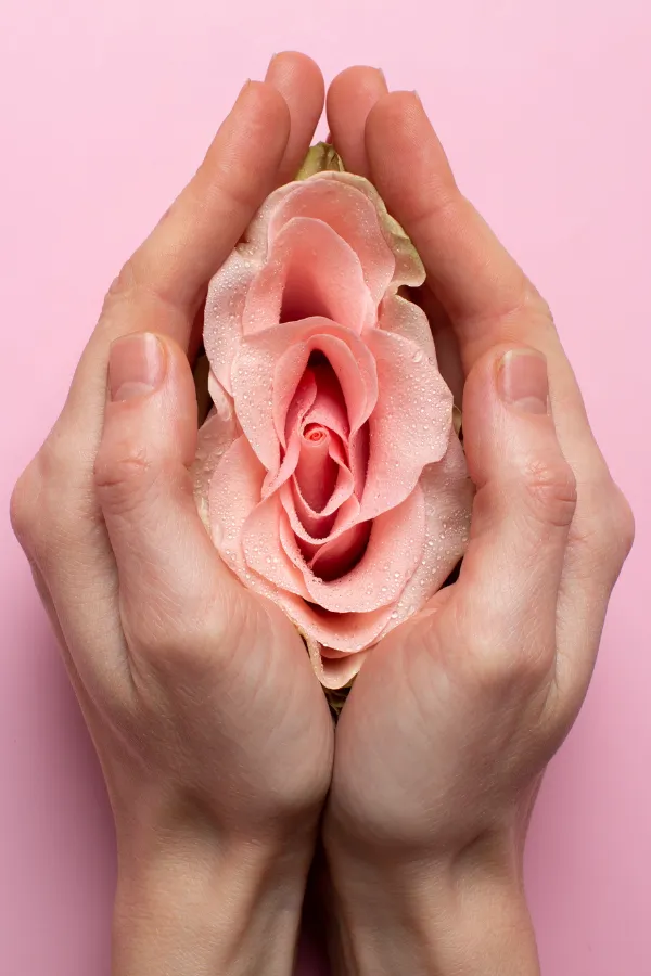 Tensado Vaginal en San Luis Potosí Ginecología Estética Tensado Vaginal en San Luis Potosí